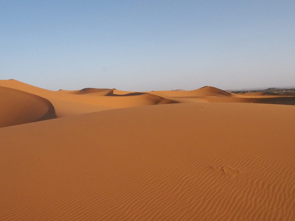 サハラ砂漠のツアー